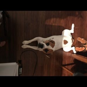 Meet your Posher, Heather